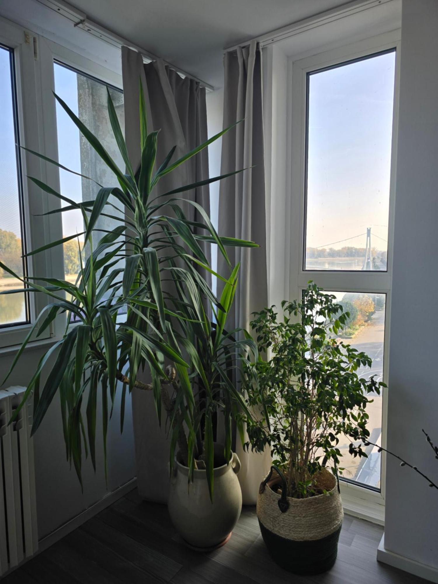 Riverview Apartment أوسييك المظهر الخارجي الصورة